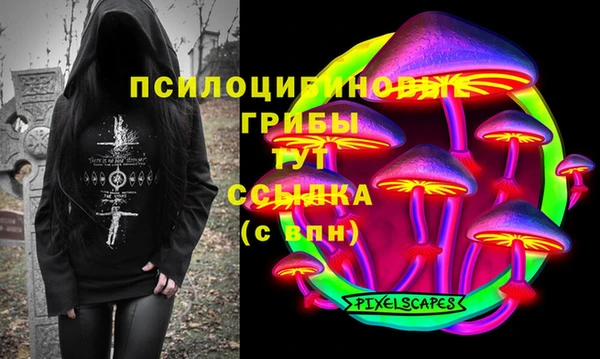 СК Алзамай
