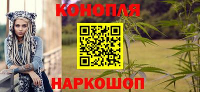 прущие грибы Заволжье