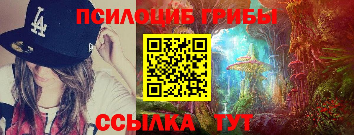 Псилоцибиновые грибы Psilocybine cubensis Новошахтинск