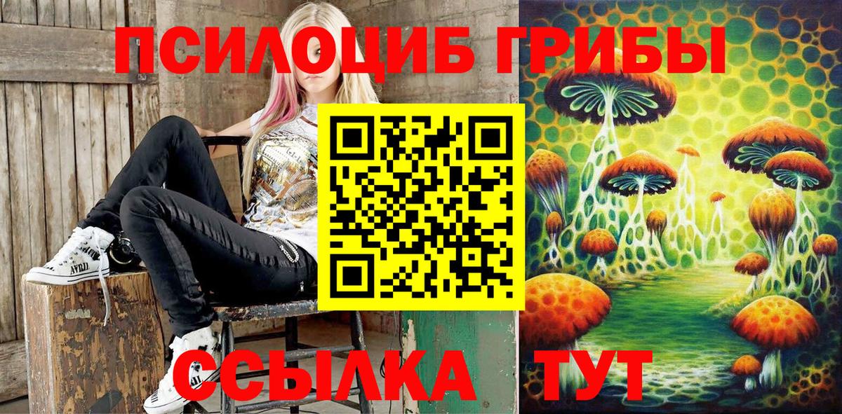 Галлюциногенные грибы ЛСД  Вход с VPN  Новошахтинск  Галлюциногенные грибы GOLDEN TEACHER 